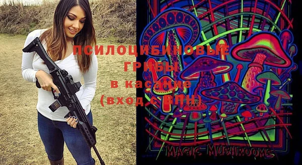 герыч Осинники