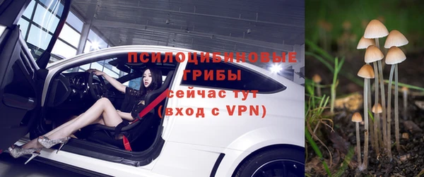 мескалин Покачи