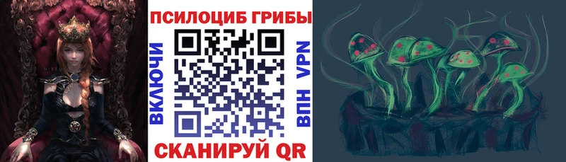 Купить  Чухлома  Псилоцибиновые грибы мухоморы 